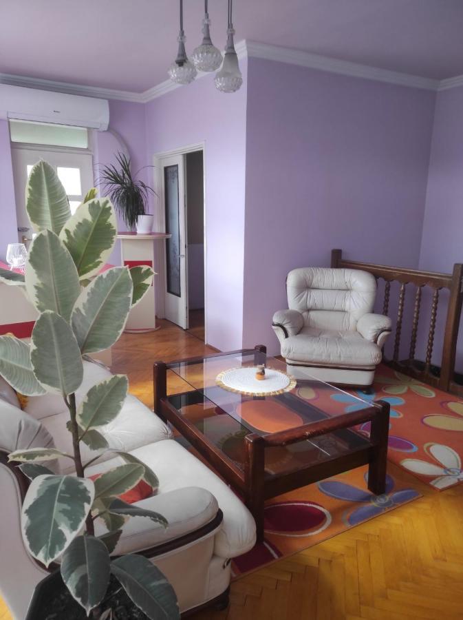 Mo Relax Vendeghaz Villa Morahalom Bagian luar foto